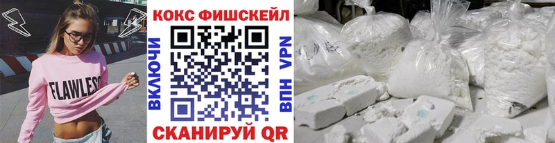 COCAIN Fish Scale  Купить закладки  Красный Кут 