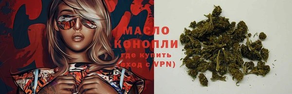прущие крисы Вяземский