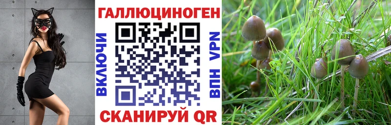Купить закладки  Красный Кут  Галлюциногенные грибы мухоморы 